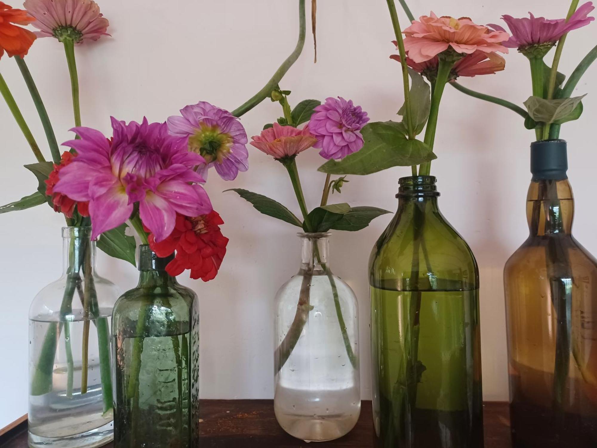 Little Fields Country House And Cottages Howick Luaran gambar