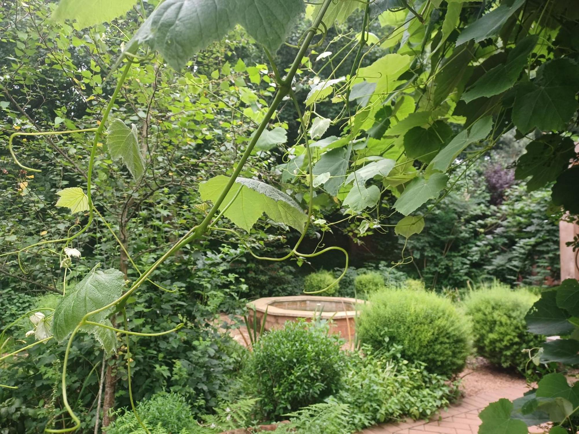 Little Fields Country House And Cottages Howick Luaran gambar