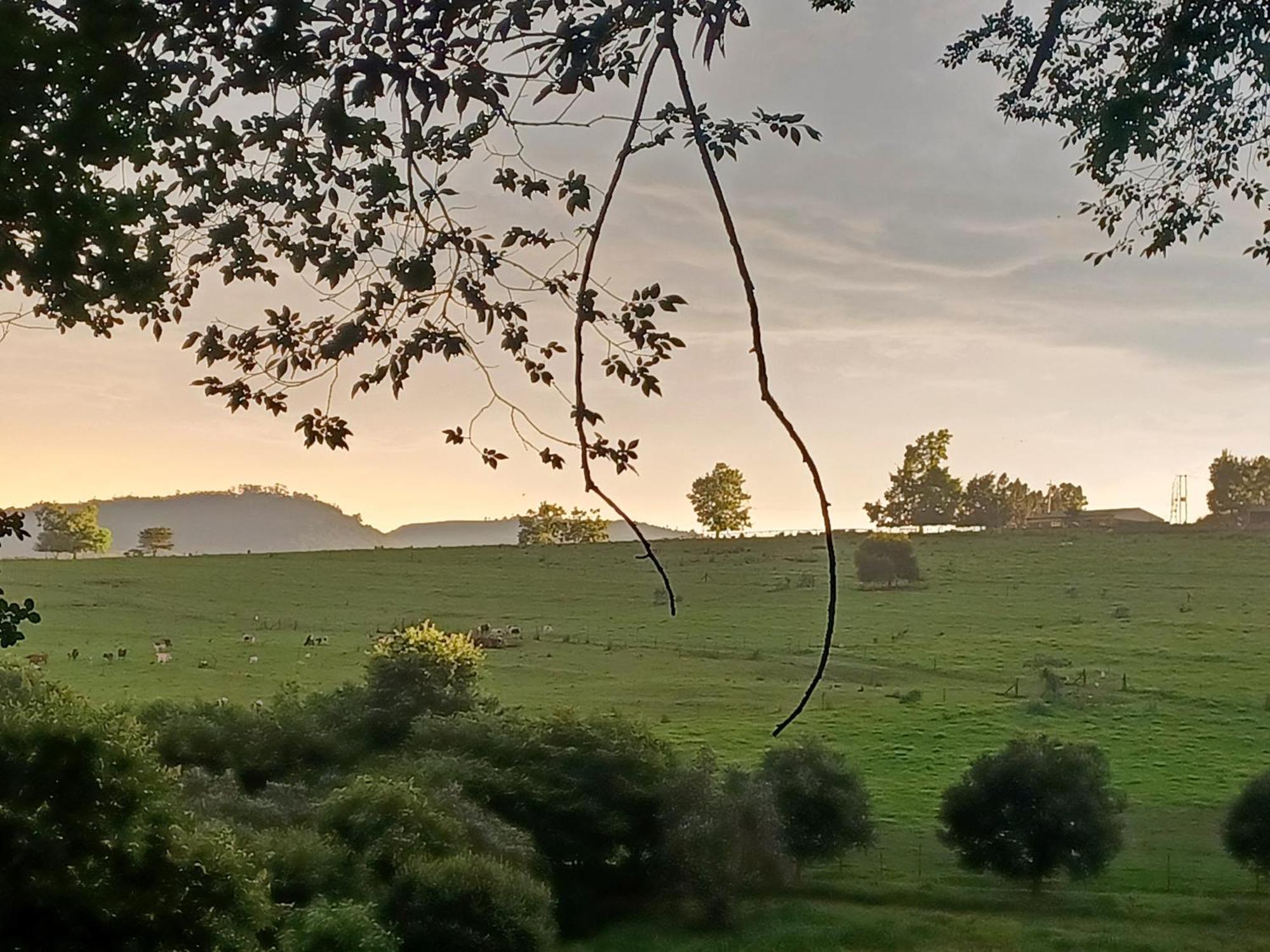 Little Fields Country House And Cottages Howick Luaran gambar